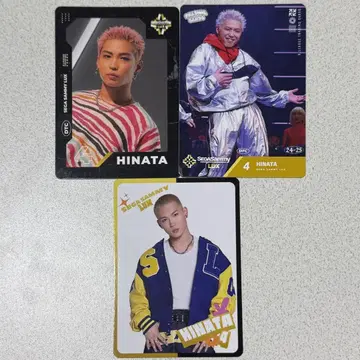 HINATA 트레이딩 카드