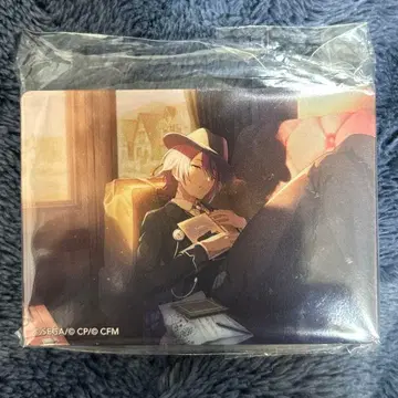 프로세카 카미시로 루이 노블 아트 38