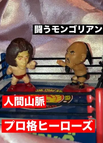 프로 격투 히어로즈 대거인 vs 몽골의 괴인