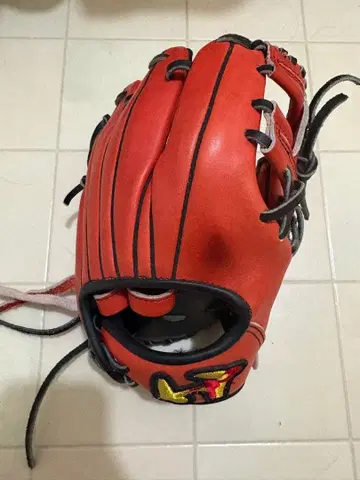 월드 페가수스 트레이닝 그랩 경식 연식 겸용