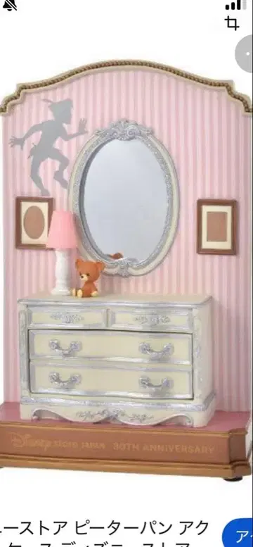 피터팬 액세서리 케이스 디즈니 스토어 30주년