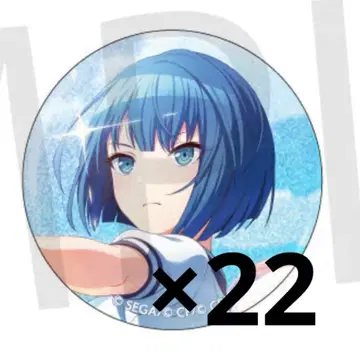 프로세카 키리타니 하루카 35c 브레메모 그리캔