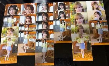 이코럽 코모레비 메조포르테 묶음 판매