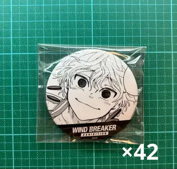 WIND BREAKER 윈브레 토지산초 코마 캔뱃지