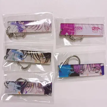 봄의 폭풍과 몬스터 길고양이와 늑대 만복 가챠 D상 리버서블 아크릴 키링