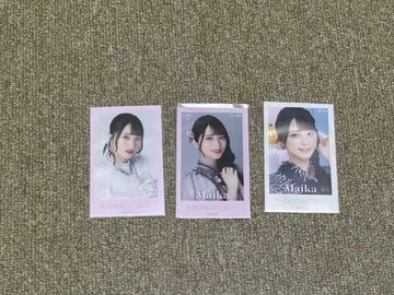 이코럽 사사키 마이카 미니 포토 카드 이코노이조이 2022 컴프