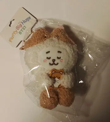 BT21 RJ MOTTO HUG 마스코트 BTS JIN 진 석진