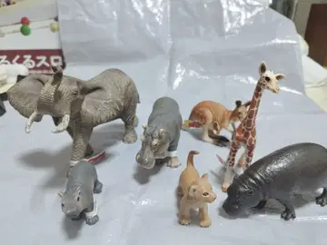 슐라이히 묶음 판매