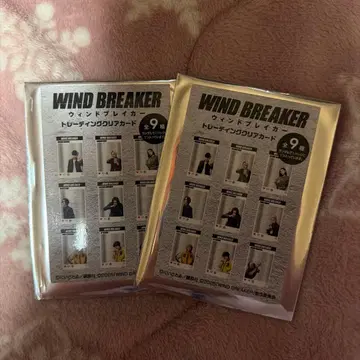 영화 윈드 브레이커 트레이딩 클리어 카드 2점