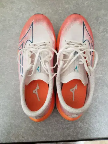 미즈노 웨이브 리벨리온 플래시 25.0cm