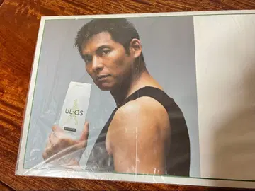 레어 오다 유지 씨 울 오스 패널