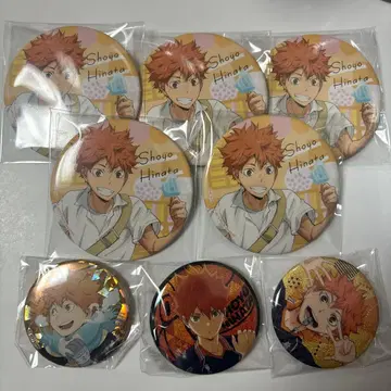 하이큐 히나타 쇼요 캔뱃지