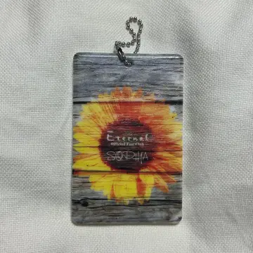 소피아 이터널 한정판 카드 케이스