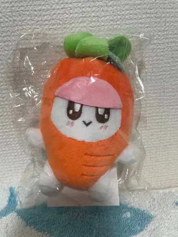 SEVENTEEN 인형옷 봉봉이 캐럿