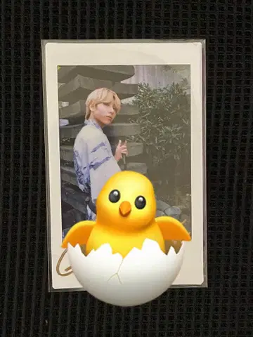 OWV 우라노 슈타 친필 사인 폴라로이드 WIND