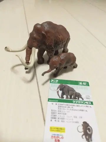 아니아 단종품 맘모스 부자