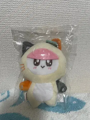 SEVENTEEN 인형옷 모자 꽁지 고양이 CAT