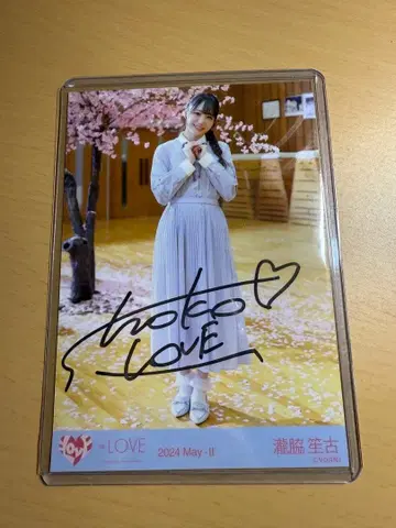 타키와키 쇼 고 묶음 판매 사인 포함 사진 있음