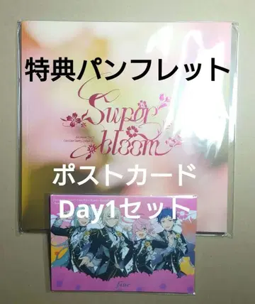 스타포니 특전 세트