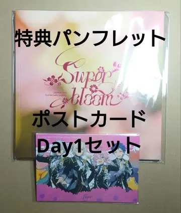 스타포니 특전 세트