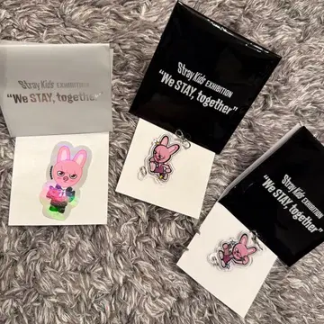 Stray Kids EXHIBITION 창빈 세트