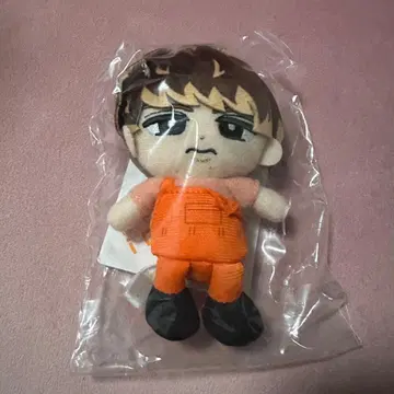 스노치루 무카이 코지