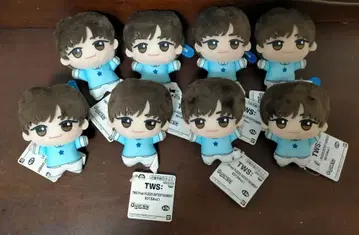 TWS SD 인형 vol.1 JIHOON 지훈 남코 한정판 8개 세트