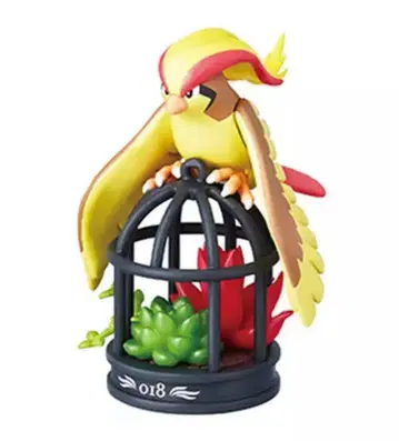 피죳토 리멘트 포켓 보타니컬