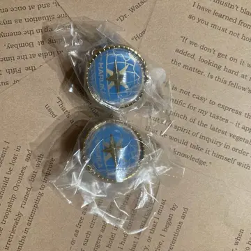 프로세카 키리타니 하루카