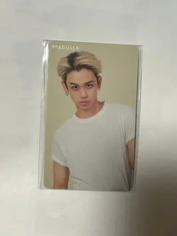 ENJIN MEDULLA 혜택 카드 KYO