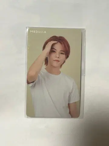 ENJIN MEDULLA 혜택 카드 A.rik