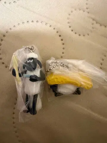 숀더쉽 초밥 스윙 숀, 티미