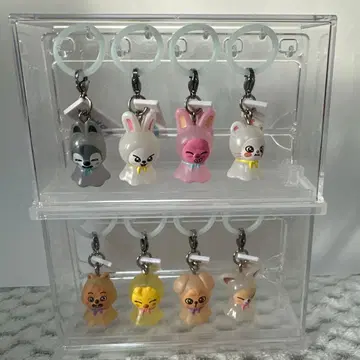 StrayKids skzoo 메지루시 액세서리 컴프 세트