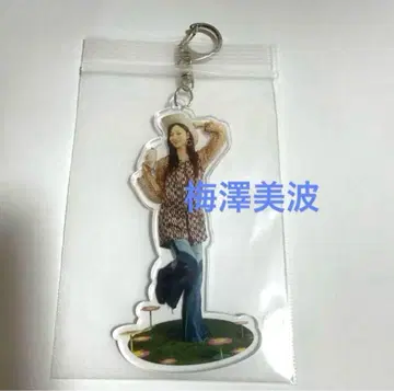 1 나기사카46 우메자와 미나미 아크릴 키링 아크키링 나기카페 익명 배송