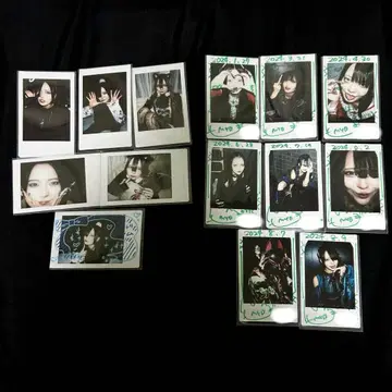 TENRIN 미야비나기 란 폴라로이드