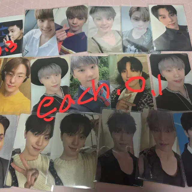 세븐틴 디노 포카