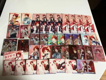 스토푸리 리이누 카드 패밀리 콜렉션 WSB 총 46장 세트