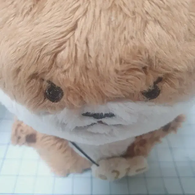 세븐틴 디노 인형 달차니