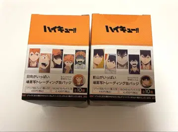 하이큐 장면 사진 트레이딩 캔뱃지 히나타 카게야마