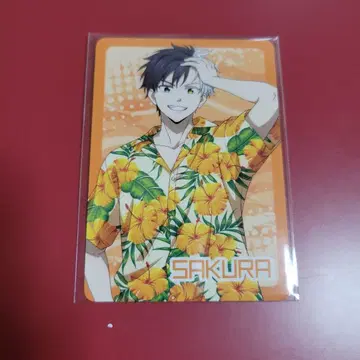 WIND BREAKER 윈브레제 특전 카드 사쿠라 하루카