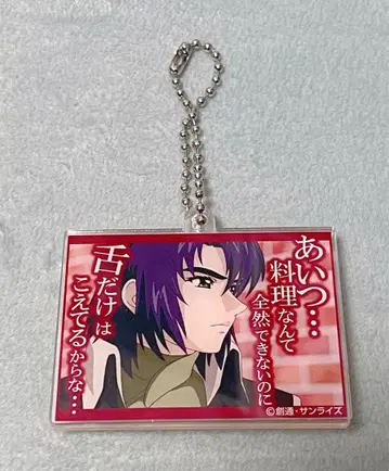 건담 카페 건담 SEED 엄브렐라 참 아스란 자라