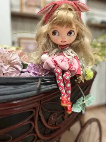 브라이스 아웃핏