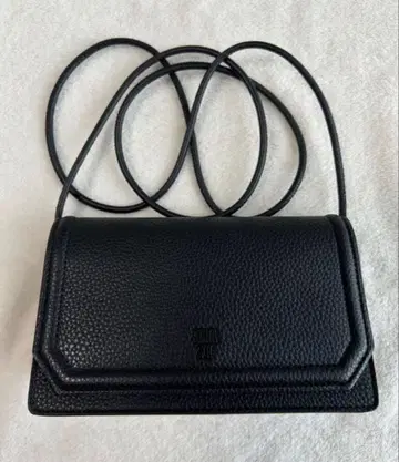 ANNA SUI 숄더백 (미니)