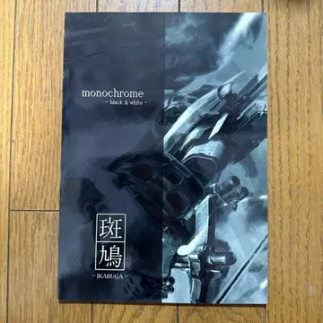 monochrome 이카루가 게임 공략본