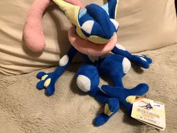 [ 공식 ] 개굴닌자 봉제 인형 S 사이즈 포켓몬스터