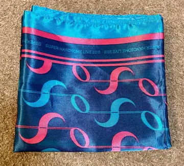 SUPER 핸섬 LIVE 2010 굿즈