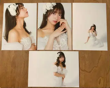 마루피 생탄 기념 브로마이드 4장 (생사진 공식)