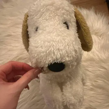 중형 흰색 봉제 인형