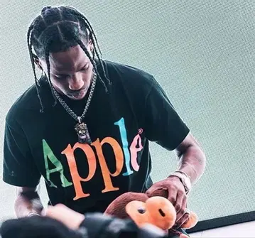 Apple 애플 기업 로고 RUMBA T셔츠 XL