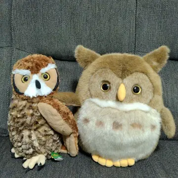 귀여운 올빼미 봉제 인형 세트